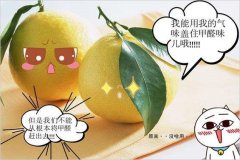 去除甲醛的方法多種多樣，哪種最實用靠譜